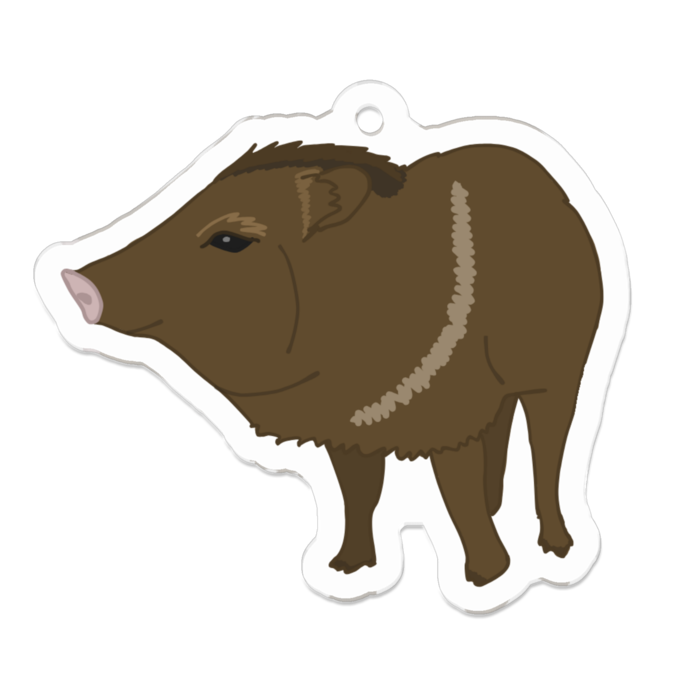 くびわぺっかりー