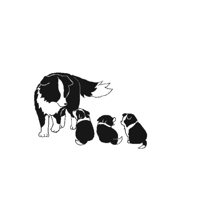 ICカードステッカー - 約85.7x53.9(mm)