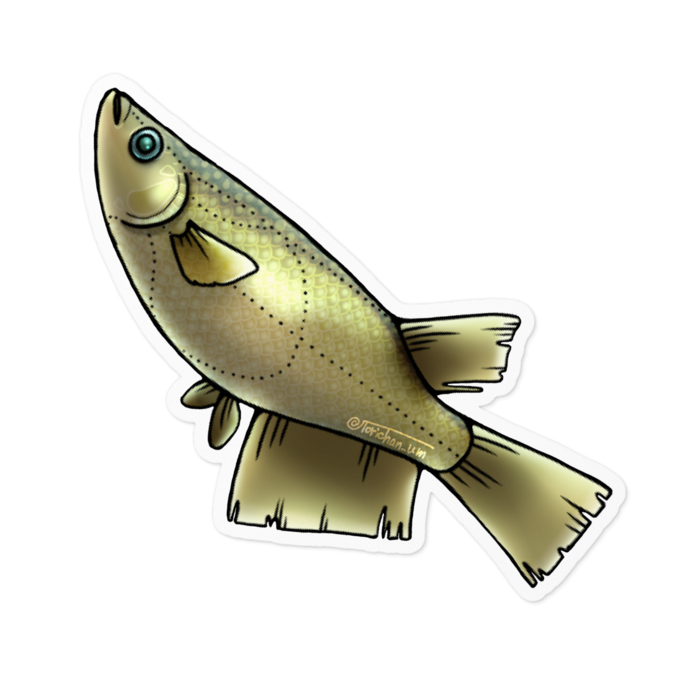 クロメダカ　ー　ホワイト／100 x 100㍉