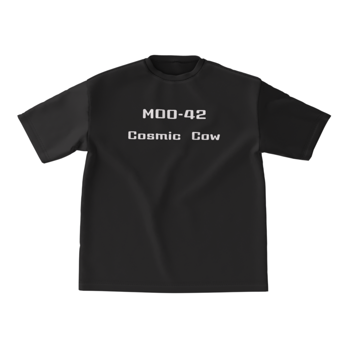 ビッグシルエットTシャツ - M - 両面(3)