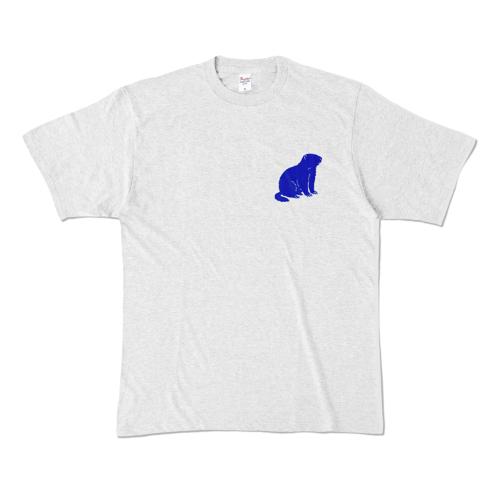 カラーTシャツ - XL - アッシュ (淡色)