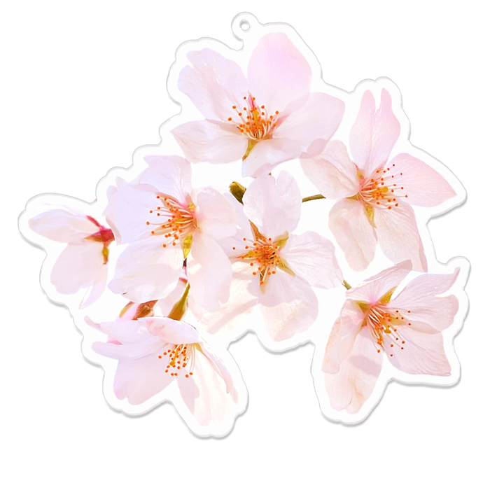 アクリルキーホルダー - 100 x 100 (mm)
