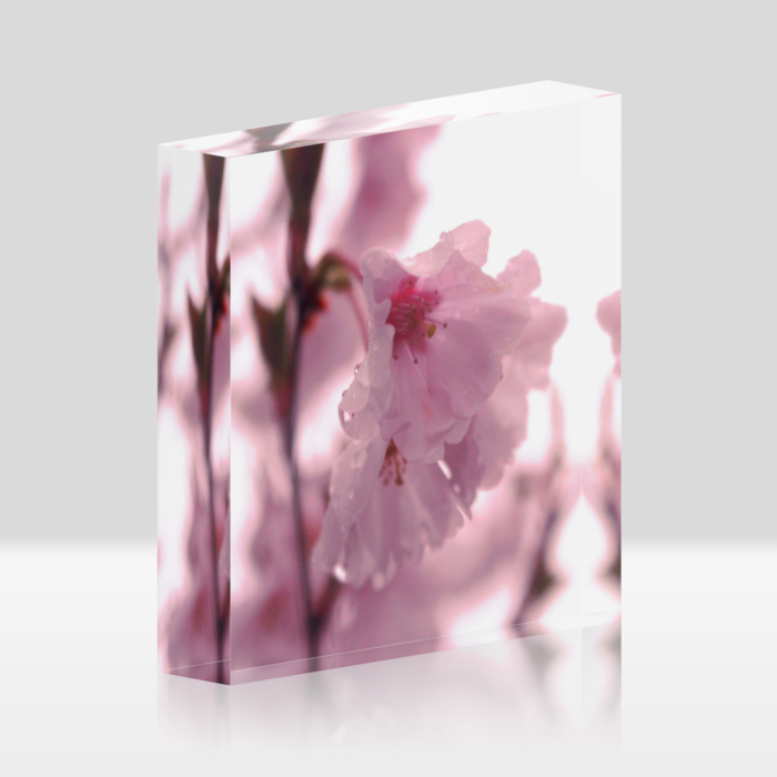 アクリルブロック - 100x100mm