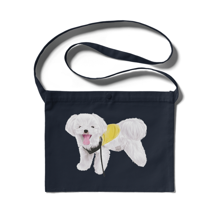 サコッシュ - 300 x 230 (mm)