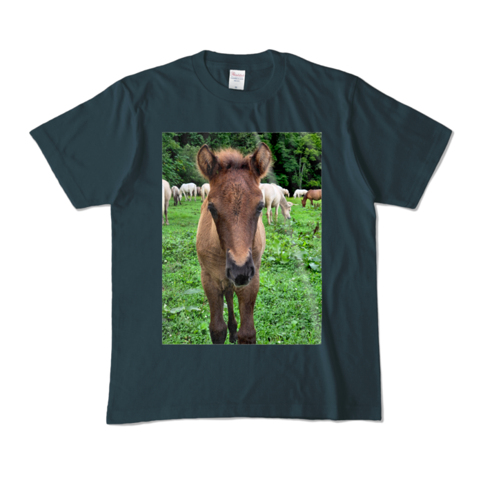 カラーTシャツ - M - デニム (濃色)