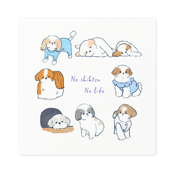 No shihtzu No life