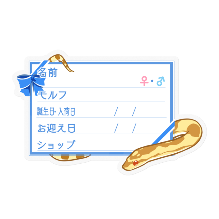 【🐍お名前ステッカー】コーンスネーク(バター)-リボン/ブルー