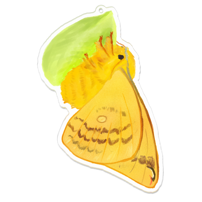 アクリルキーホルダー - 100 x 100 (mm)