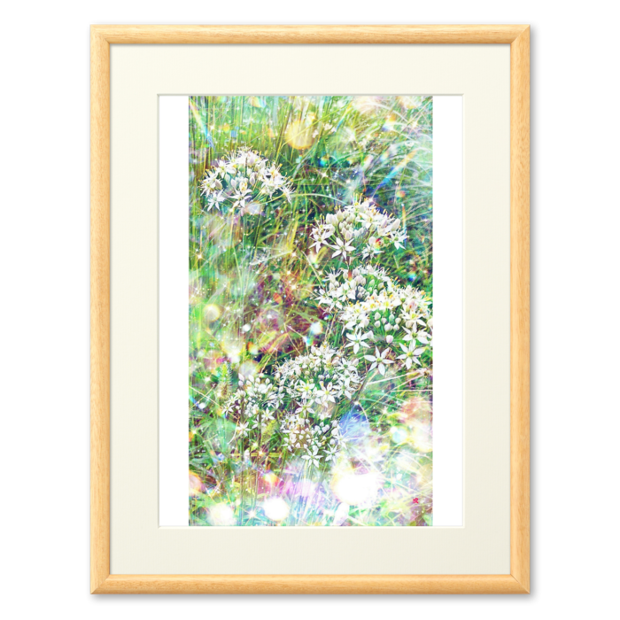 複製画(プリモアート) - A2