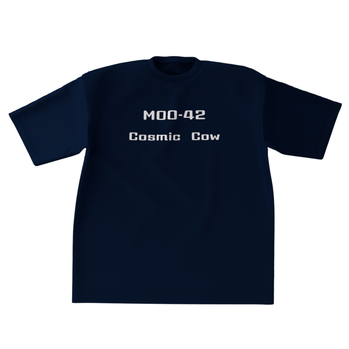 ビッグシルエットTシャツ - XL - 両面(5)