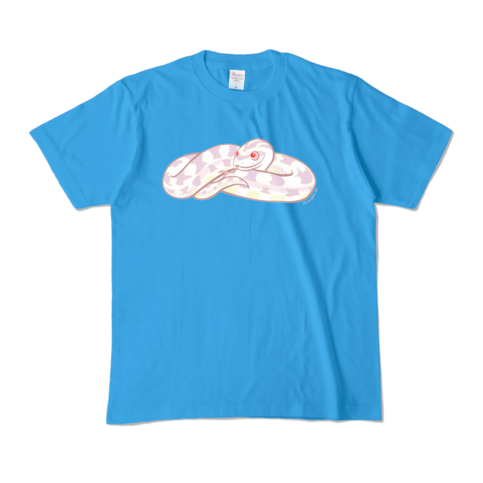 カラーTシャツ - M - ターコイズ (濃色)
