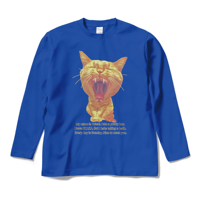 ロングスリーブTシャツ - M - ロイヤルブルー