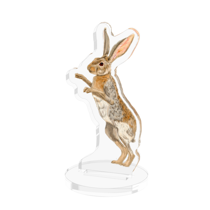 アクリルフィギュア - 50x50mm