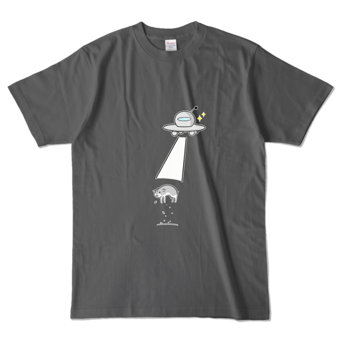 カラーTシャツ - L - チャコール (濃色)