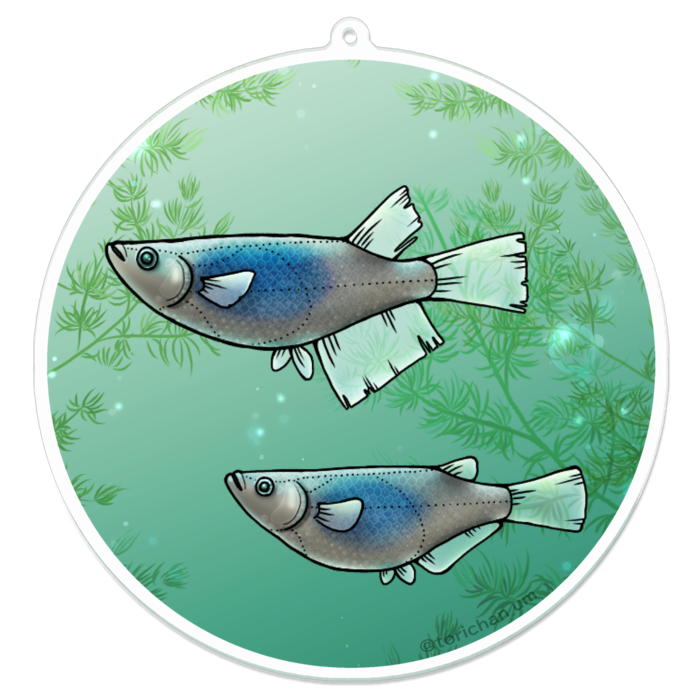 深海 ー 100 x 100㍉/コーティングあり