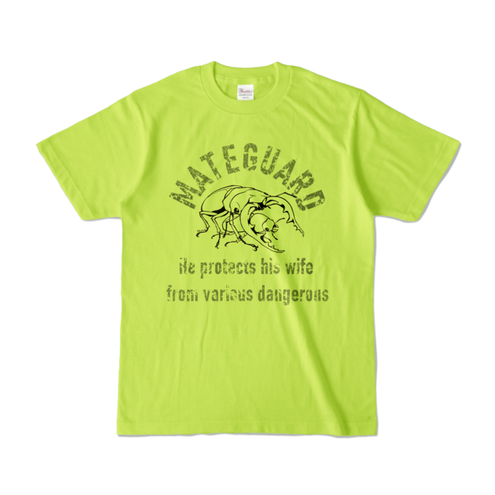 カラーTシャツ - S - ライトグリーン (淡色)