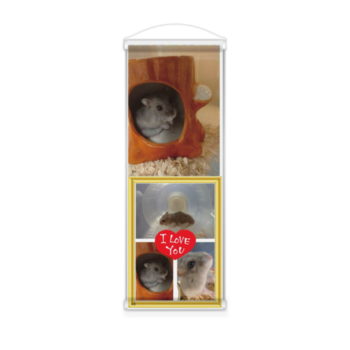 ミニタペストリー - 182x515(mm)