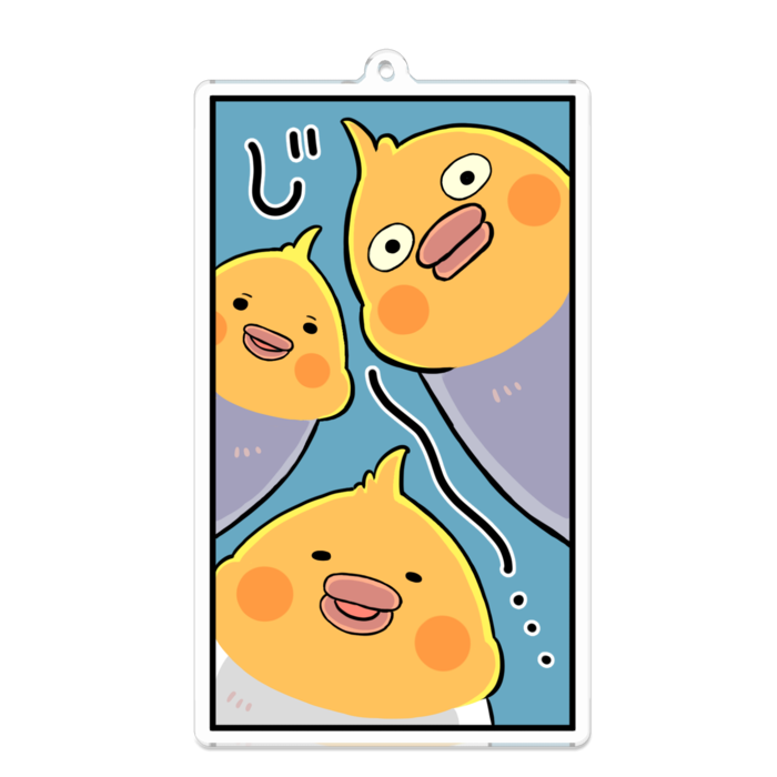 オカメインコのじーっと見つめる - 100 x 100 (mm)