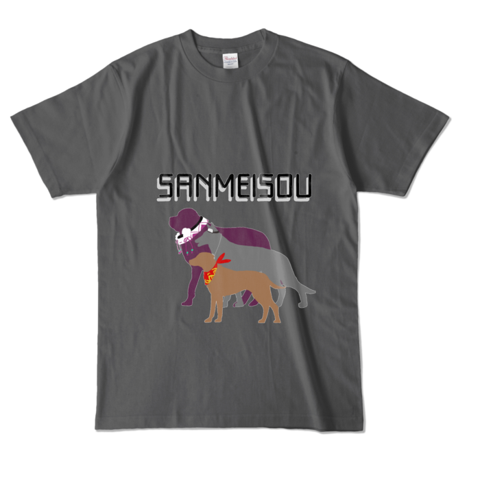 カラーTシャツ - L - チャコール (濃色)