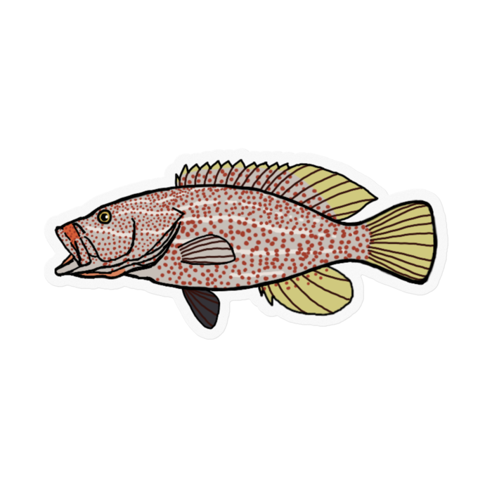 ステッカー - 100 x 100 (mm)