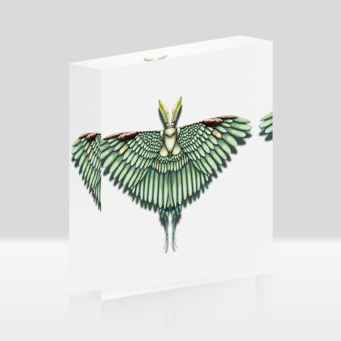 緑 ー ホワイト/100x100mm