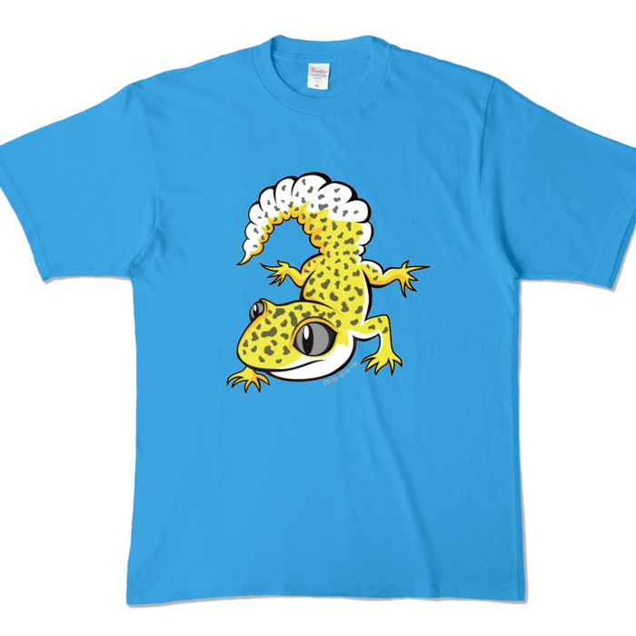 カラーTシャツ - XL - ターコイズ (濃色)
