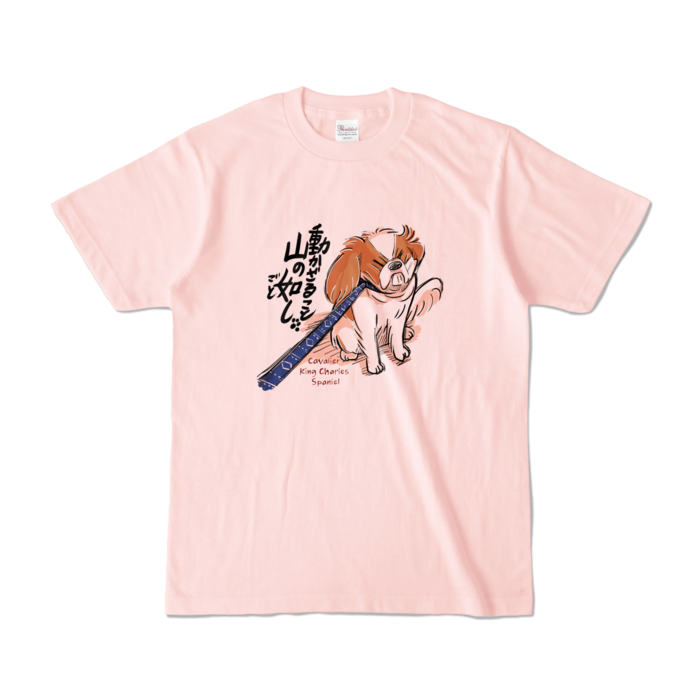 カラーTシャツ - S - ライトピンク (淡色)