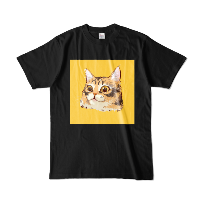 カラーTシャツ - L - ブラック (濃色)