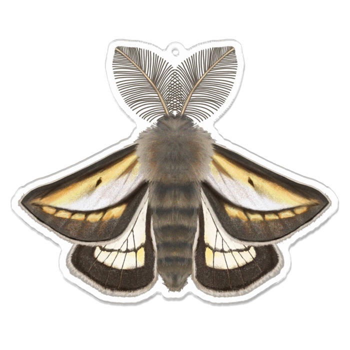 アクリルキーホルダー - 100 x 100 (mm)