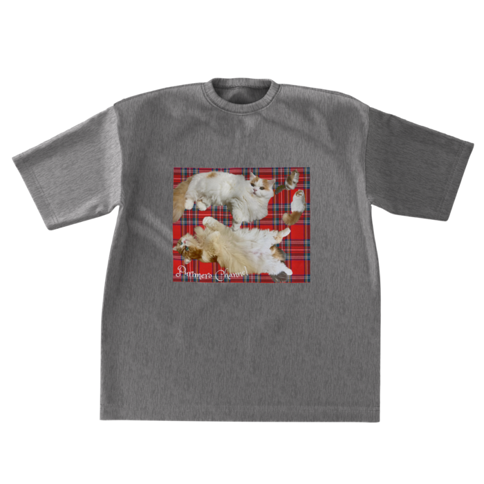 ビッグシルエットTシャツ - XL - 両面(2)