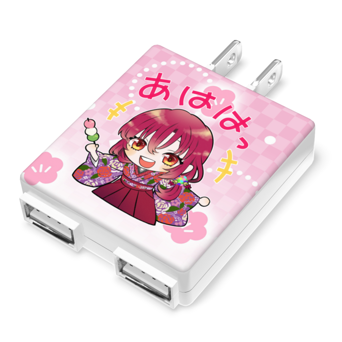 ACアダプター - 50×55mm