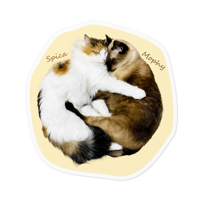 ステッカー - 100 x 100 (mm)