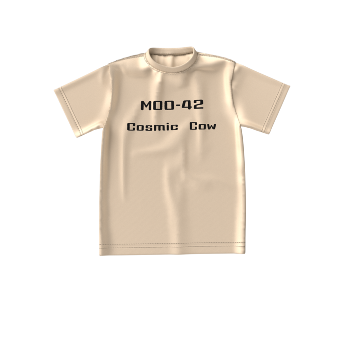 ビッグシルエットTシャツ - S - 両面(2)