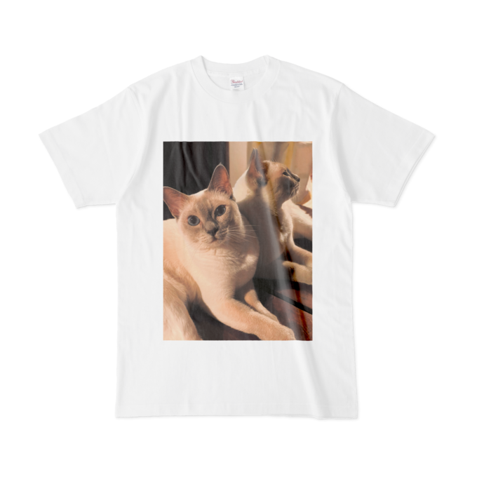 Tシャツ - L - 白