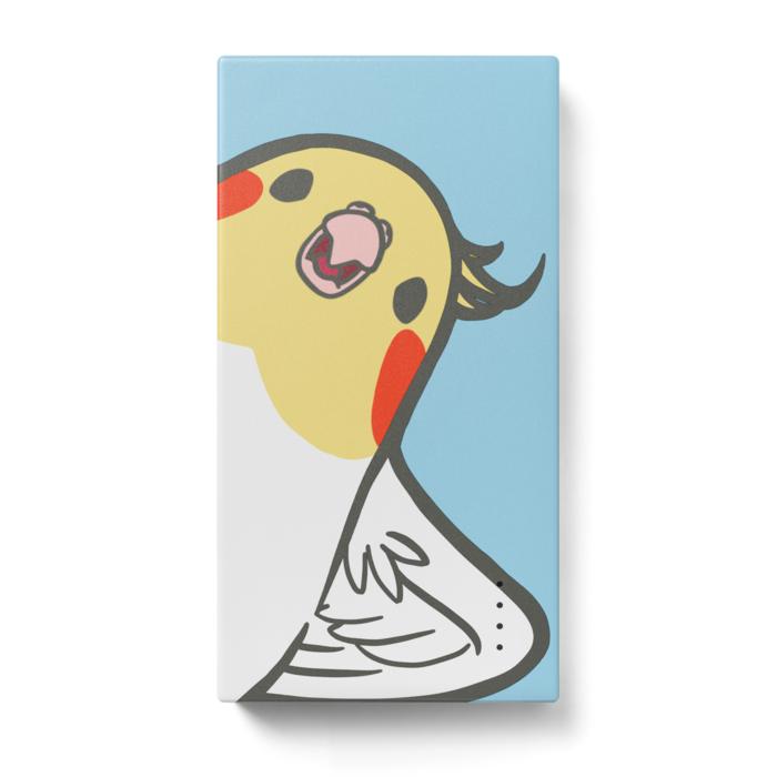 モバイルバッテリー - 123 x 65 (mm)(1)