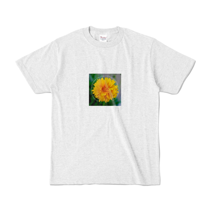カラーTシャツ - S - アッシュ (淡色)