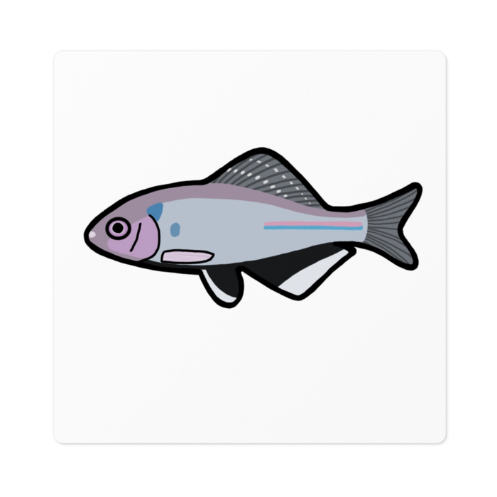 ステッカー - 100 x 100 (mm)(1)