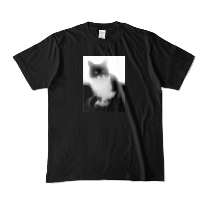 カラーTシャツ - M - ブラック (濃色)