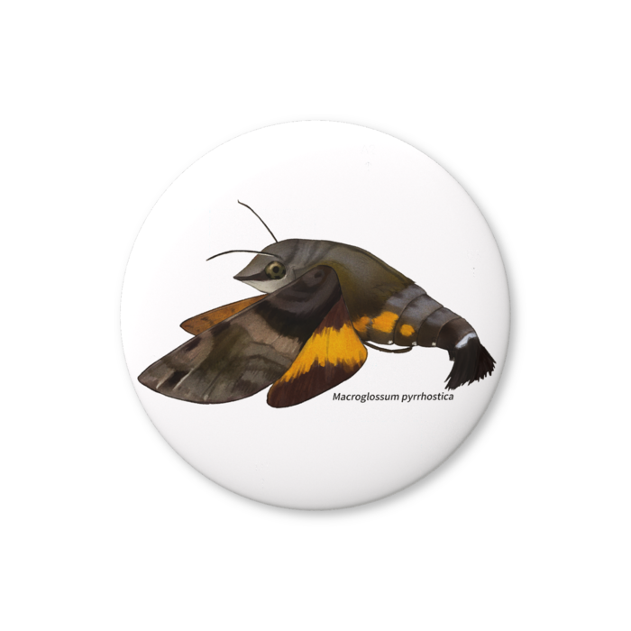 缶バッジ（バリュー） - 76mm