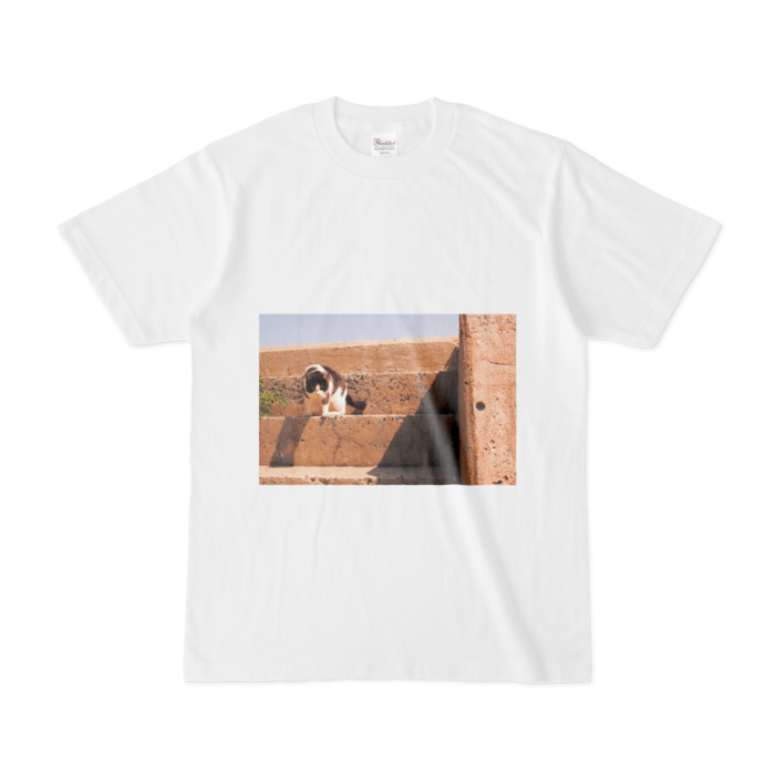 Tシャツ - S - 白