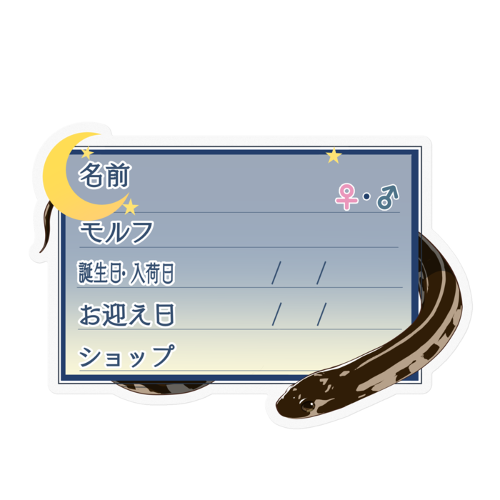 ステッカー - 100 x 100 (mm)(20)