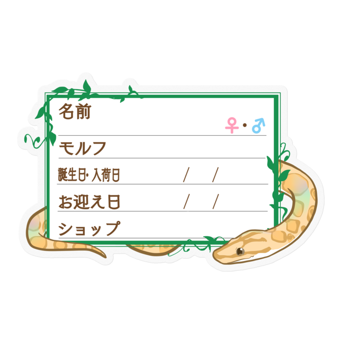 【🐍お名前ステッカー】コロニジ(パラディグマ) ‐ツタ