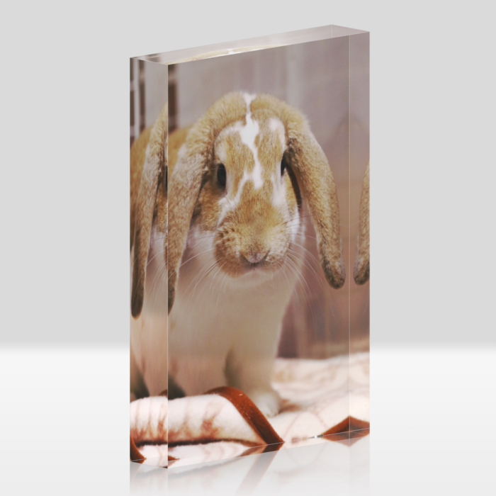 アクリルブロック - 100x148mm