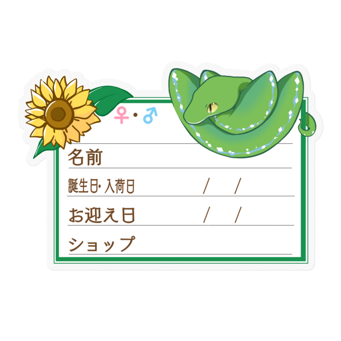 【🐍お名前ステッカー】枠11種類 グリンパイ(ソロン) ‐ひまわり
