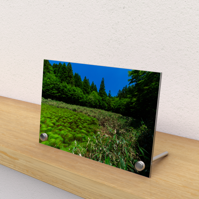 自然からの贈り物