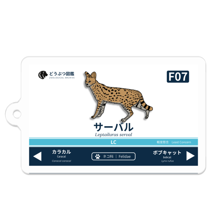 サーバル