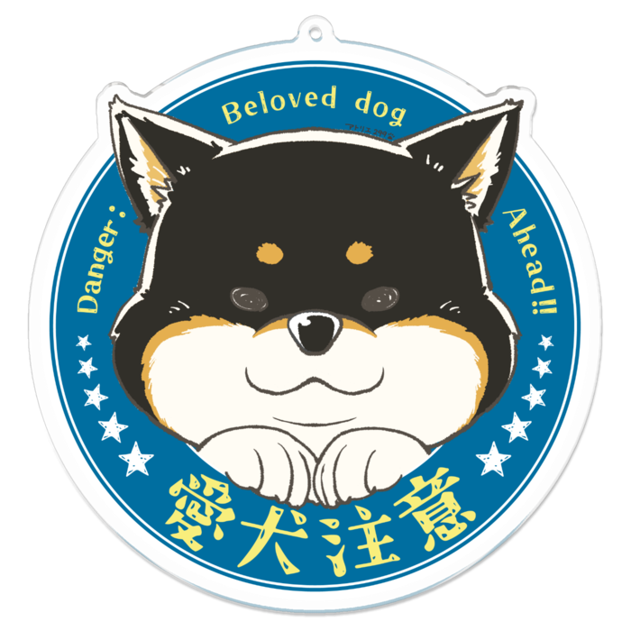 L（約100 x 100 mm）