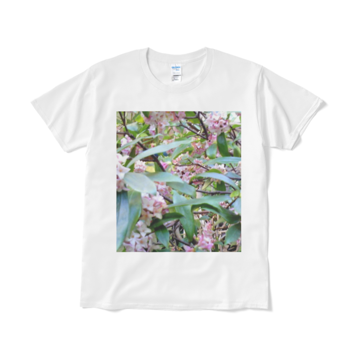 Tシャツ（短納期） - L - ホワイト