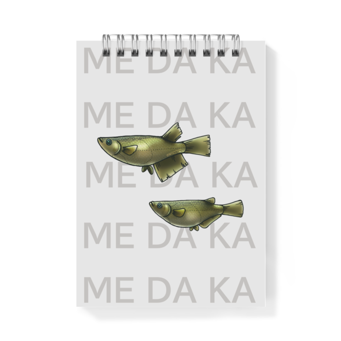 クロメダカ　ー　A6