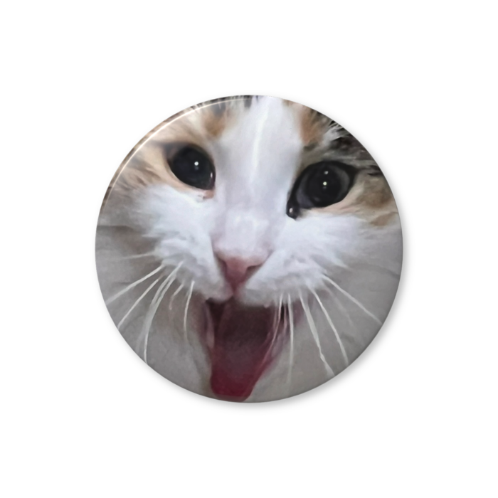 缶バッジ（バリュー） - 44mm